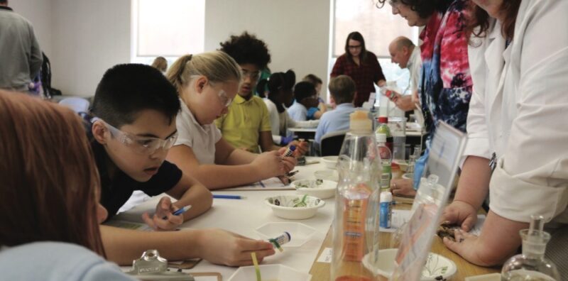 children working on science projects