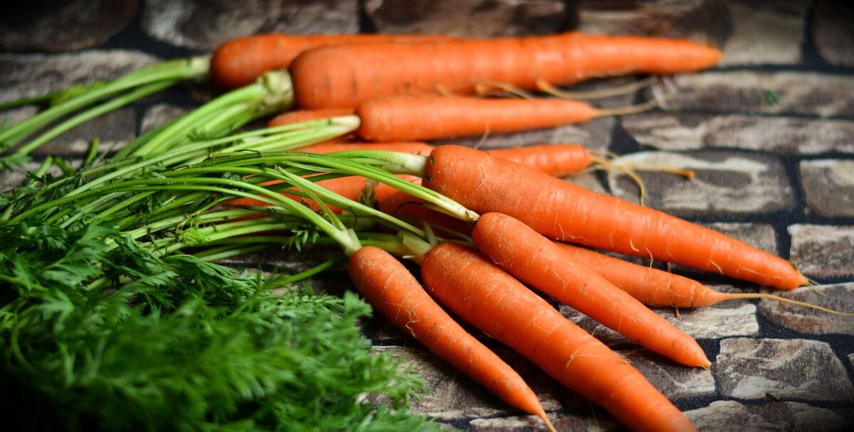 bunches of carrots