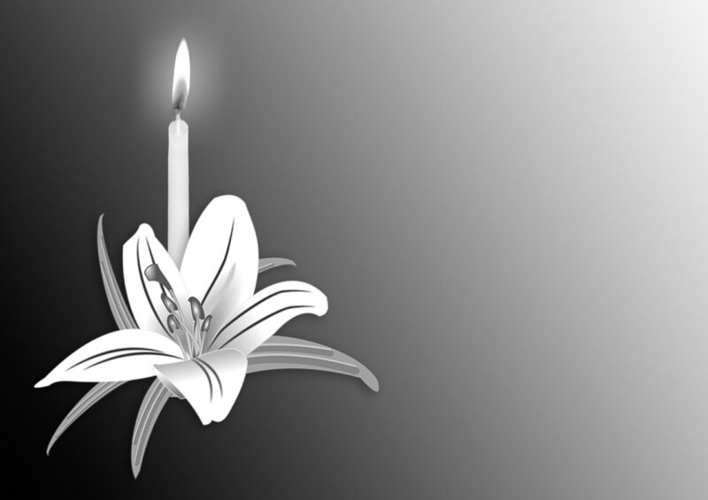 illustration of lily and candle