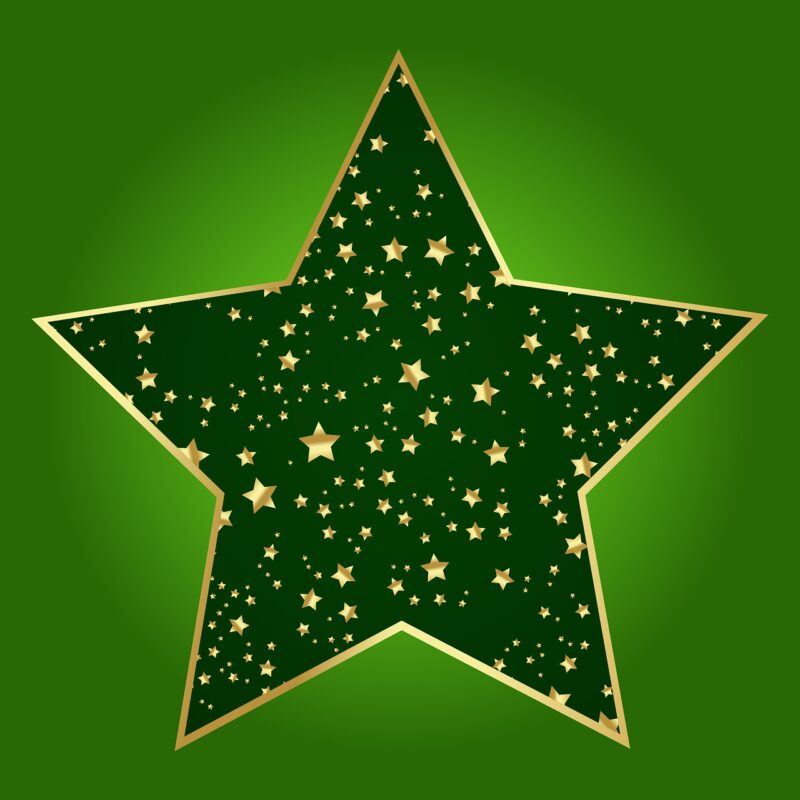 dark green star with smaller gold stars inside