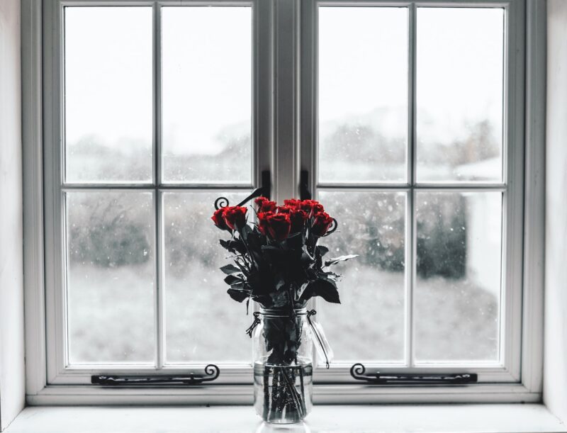vase of red roses in front of window with winter snow outside