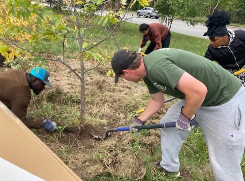 Four students replanting a tree in the Freedom Grove of the Mill Creek Watershed