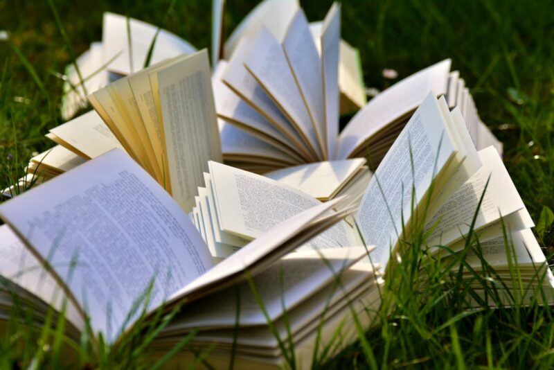 Open books in a field of grass