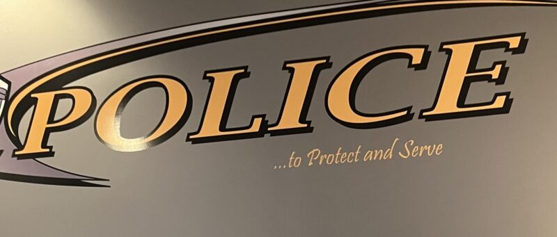 Delhi Township Police Dept logo