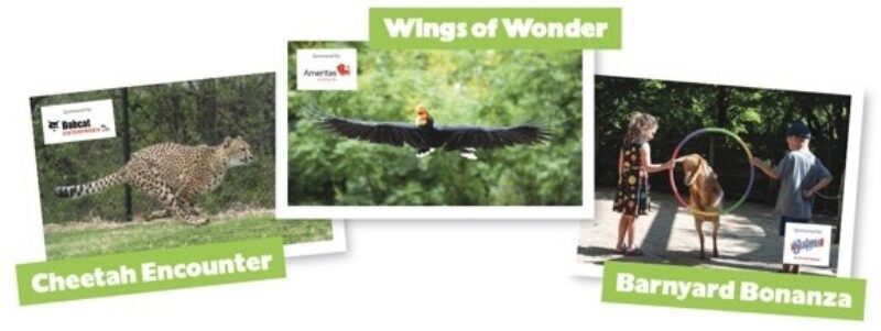 Portion of Cincinnati Zoo Animal Encounters flyer