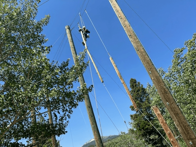 EVT 172 class saw unique views of logging
