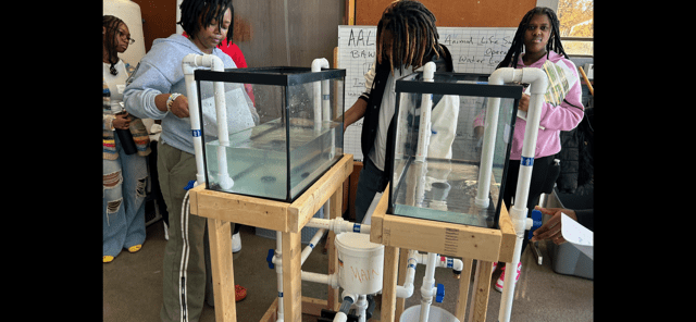 Learning about water transfer at HS Environmental Day - Nov. 2025