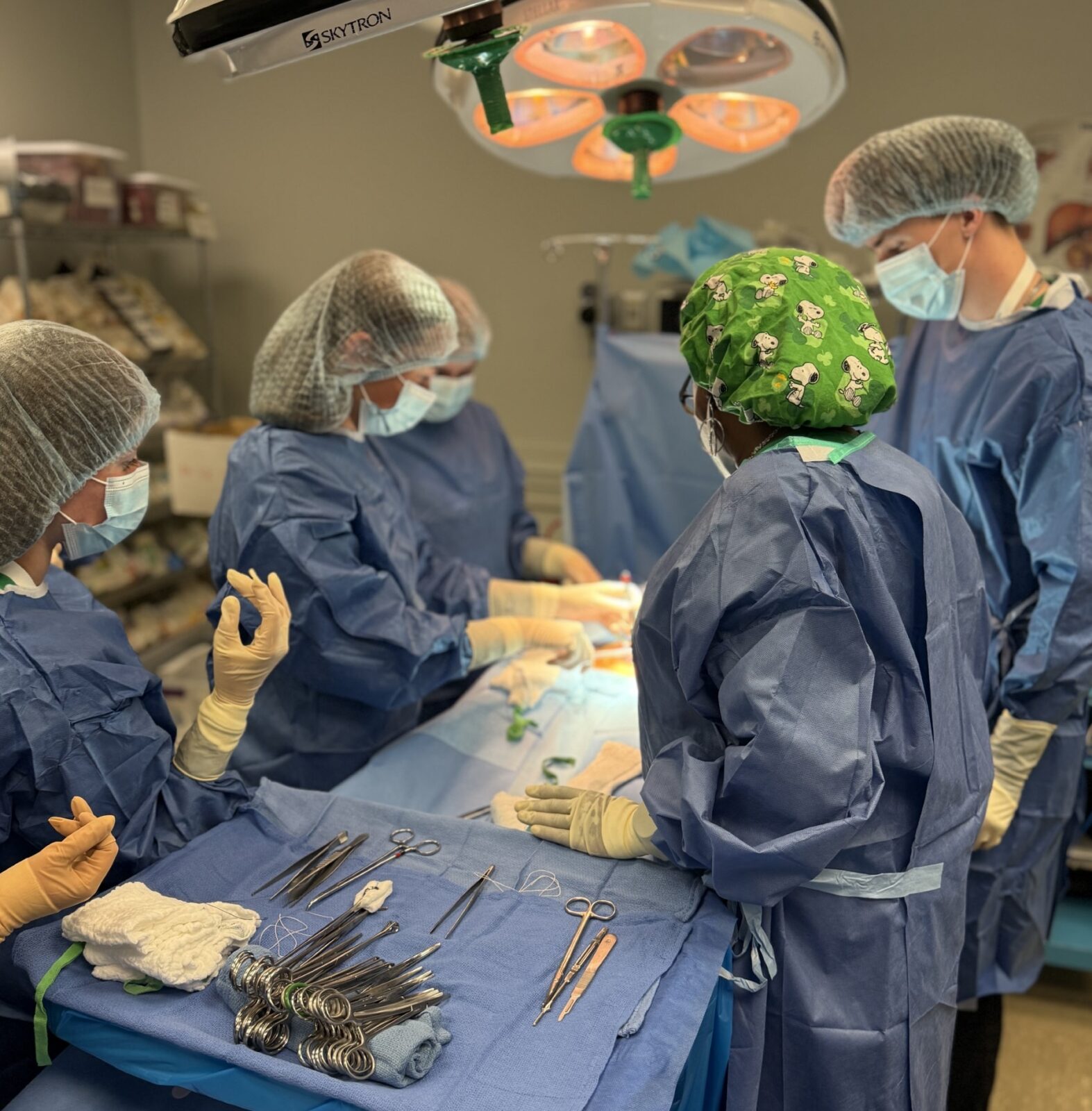 Surgery simulation